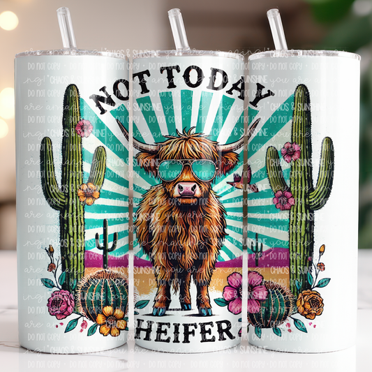 Not Today Heifer